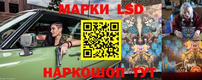 сатива Кандалакша
