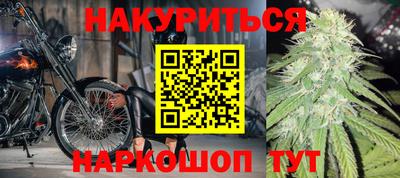 сатива Кандалакша