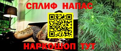 сатива Кандалакша