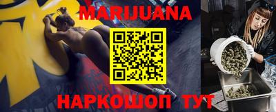сатива Кандалакша