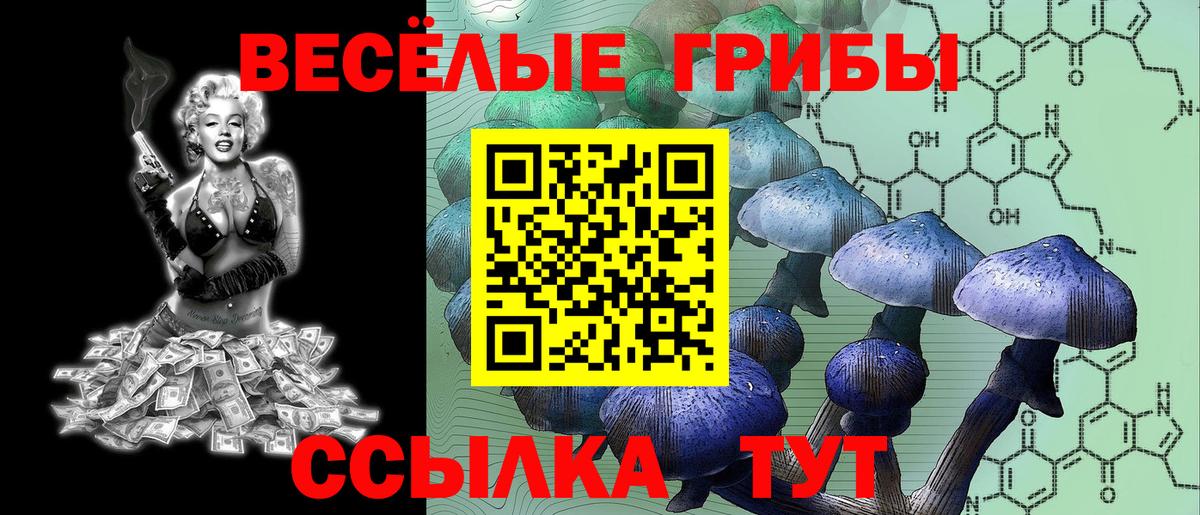 Майский  Псилоцибиновые грибы MAGIC MUSHROOMS  Вход с VPN  Псилоцибиновые грибы GOLDEN TEACHER 