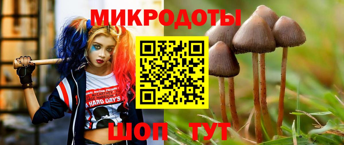 Галлюциногенные грибы Psilocybe Майский